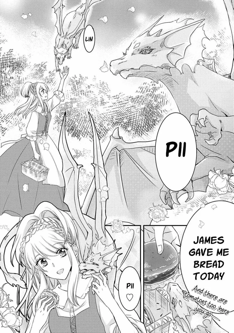 Ryuuheika no Okisaki wa Okotowari Shitai! Chapter 1 page 17