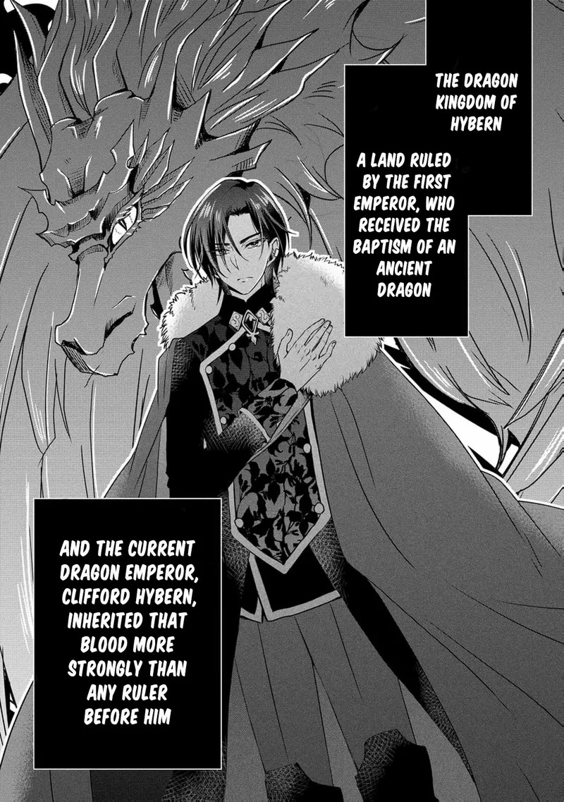Ryuuheika no Okisaki wa Okotowari Shitai! Chapter 2 page 5