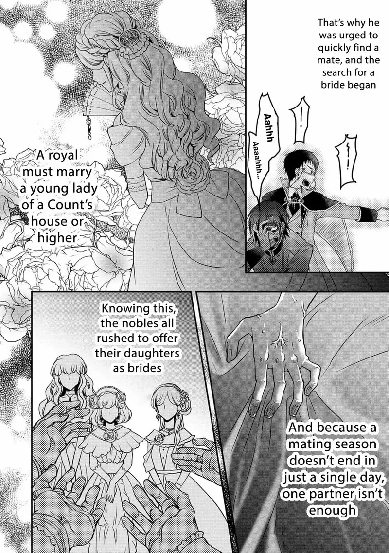 Ryuuheika no Okisaki wa Okotowari Shitai! Chapter 2 page 7