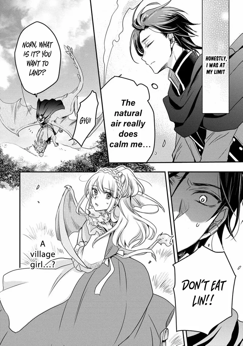 Ryuuheika no Okisaki wa Okotowari Shitai! Chapter 2 page 11