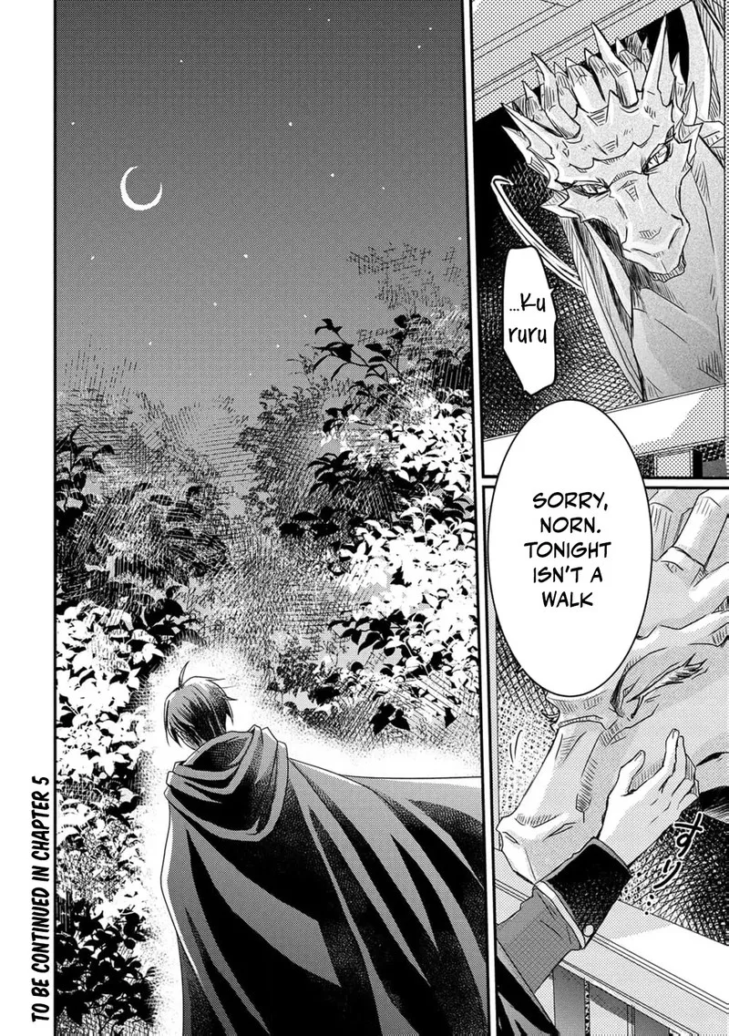 Ryuuheika no Okisaki wa Okotowari Shitai! Chapter 4 page 29
