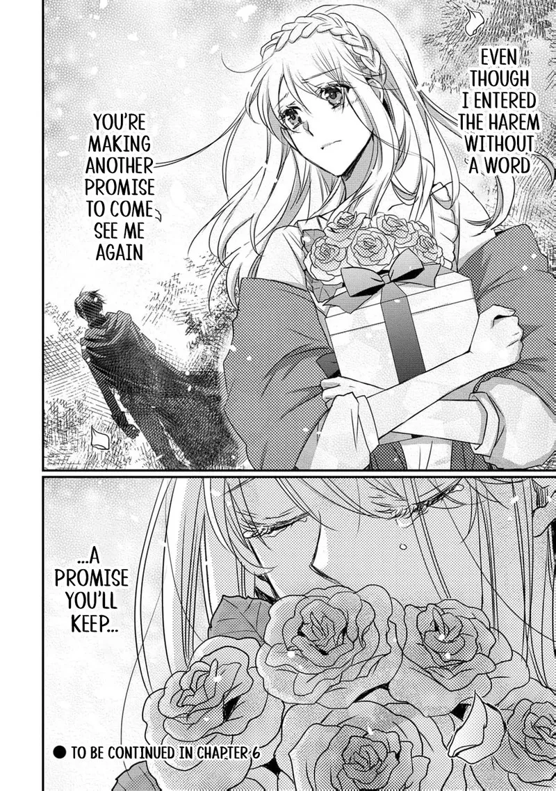 Ryuuheika no Okisaki wa Okotowari Shitai! Chapter 5 page 22