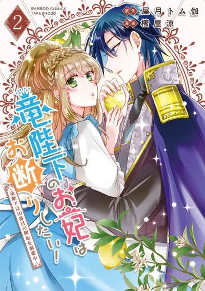 Ryuuheika no Okisaki wa Okotowari Shitai! cover