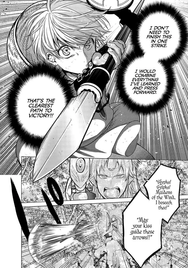 Saihate no Paladin Chapter 27 page 8