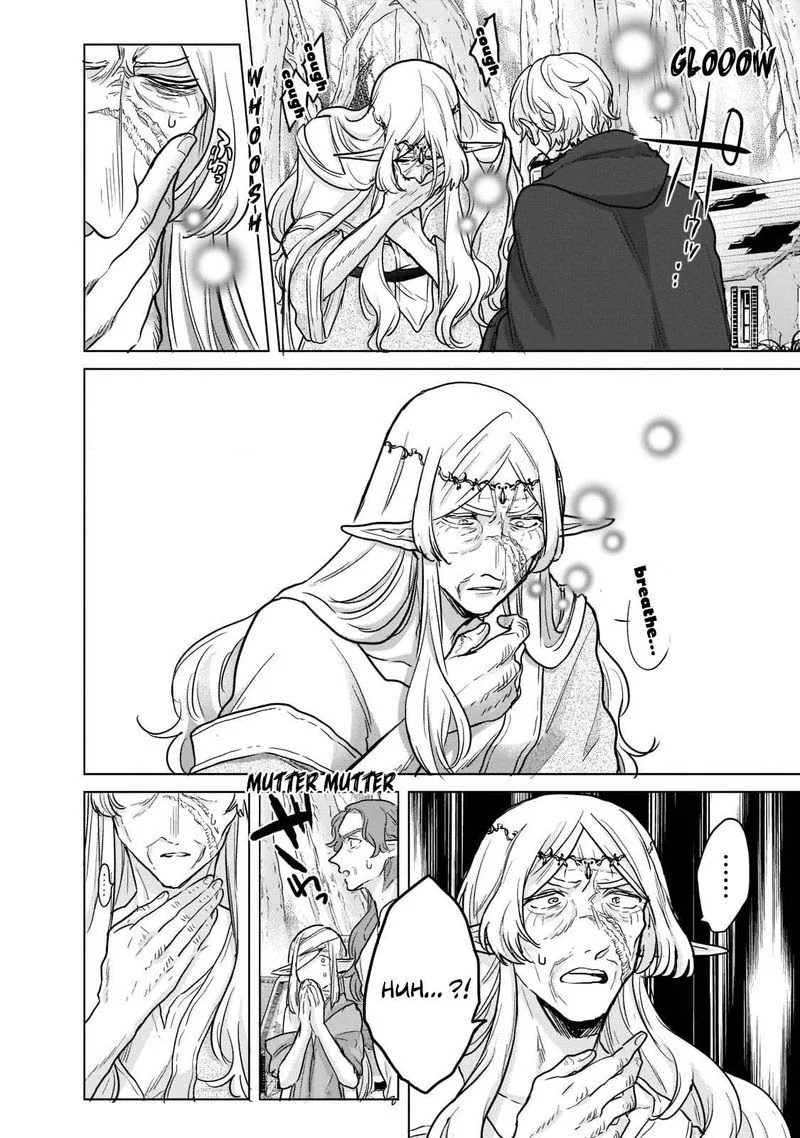 Saihate no Paladin Chapter 47 page 6