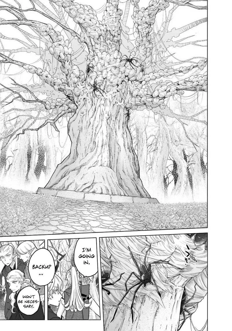 Saihate no Paladin Chapter 48.2 page 11