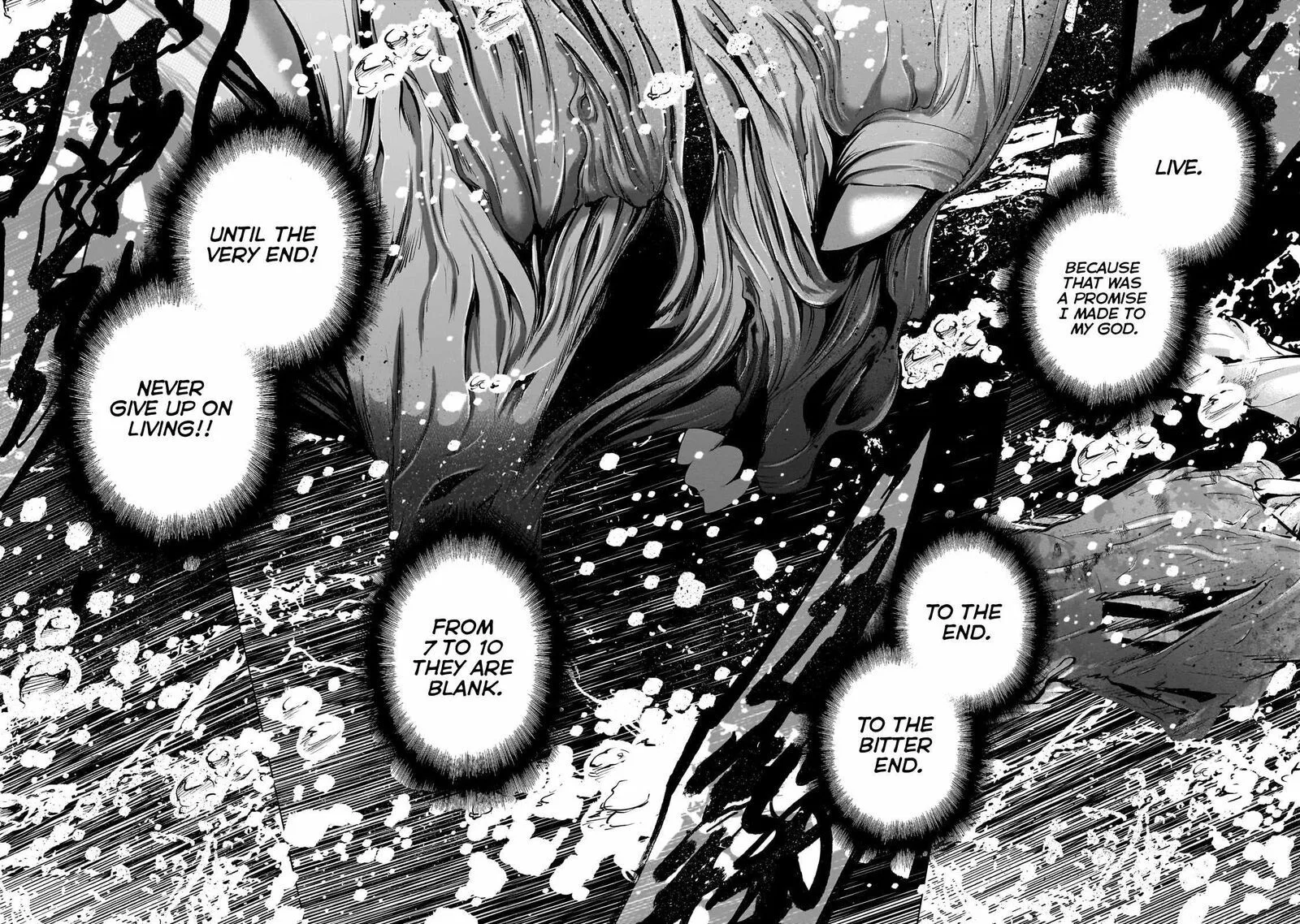 Saihate no Paladin Chapter 63.2 page 3