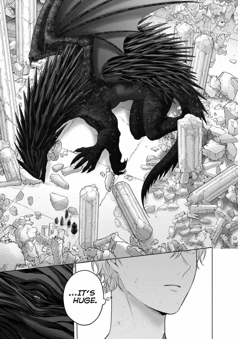 Saihate no Paladin Chapter 63.2 page 11