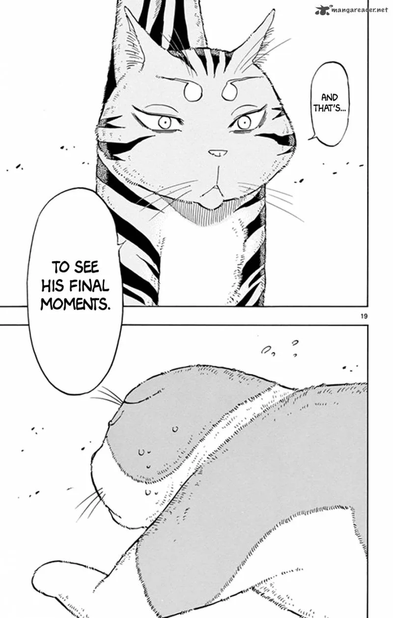 Saike Mata Shite mo Chapter 17 page 19