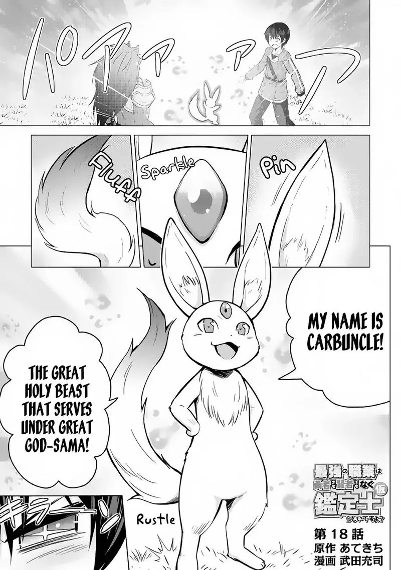 Saikyou no Shokugyou wa Yuusha demo Kenja demo naku Kanteishi (Kari) rashii desu yo? Chapter 18 page 1