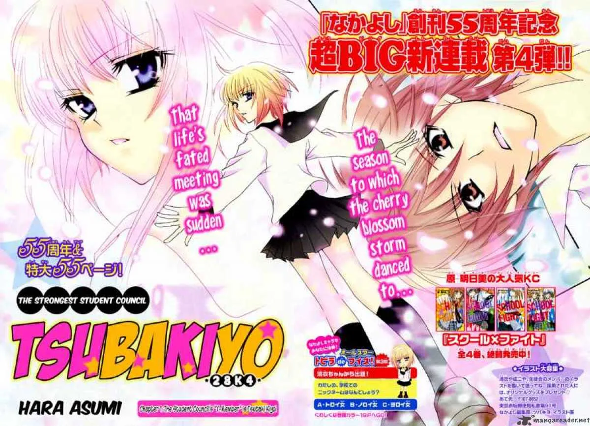 Saikyou Seitokai Tsubakiyo Chapter 1 page 3