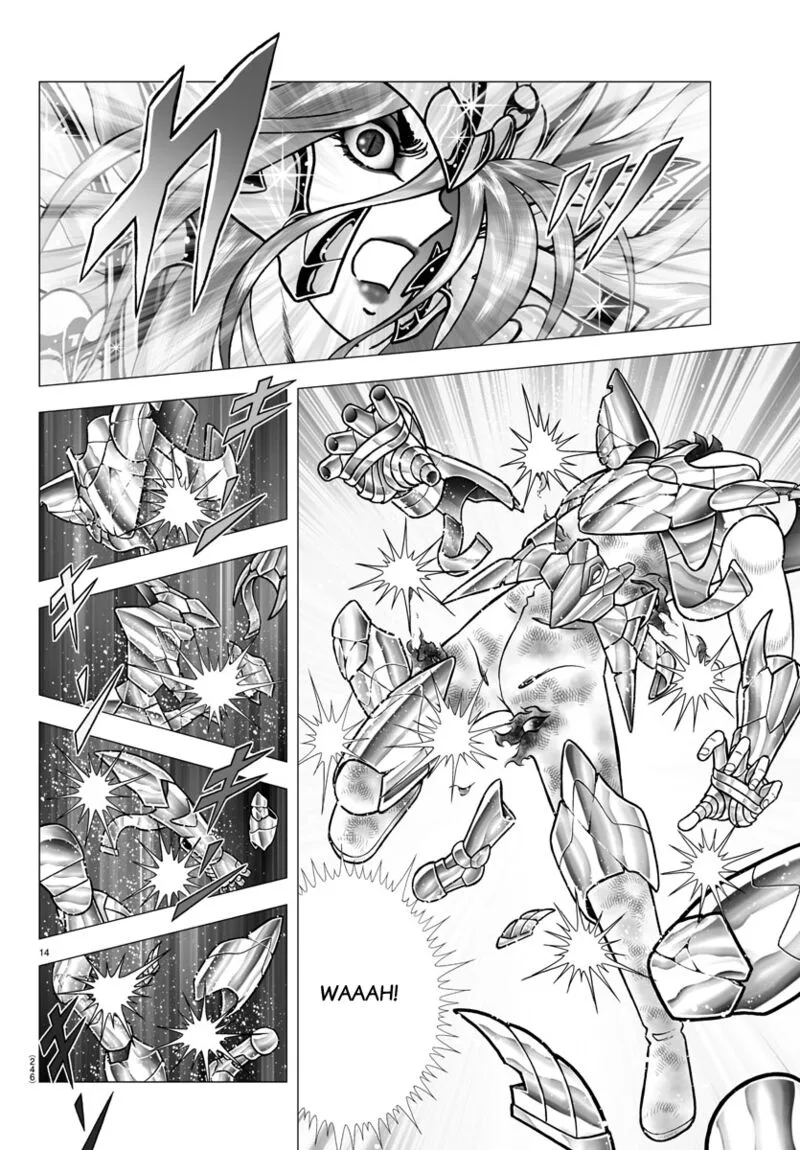 Saint Seiya - Next Dimension Chapter 101 page 14