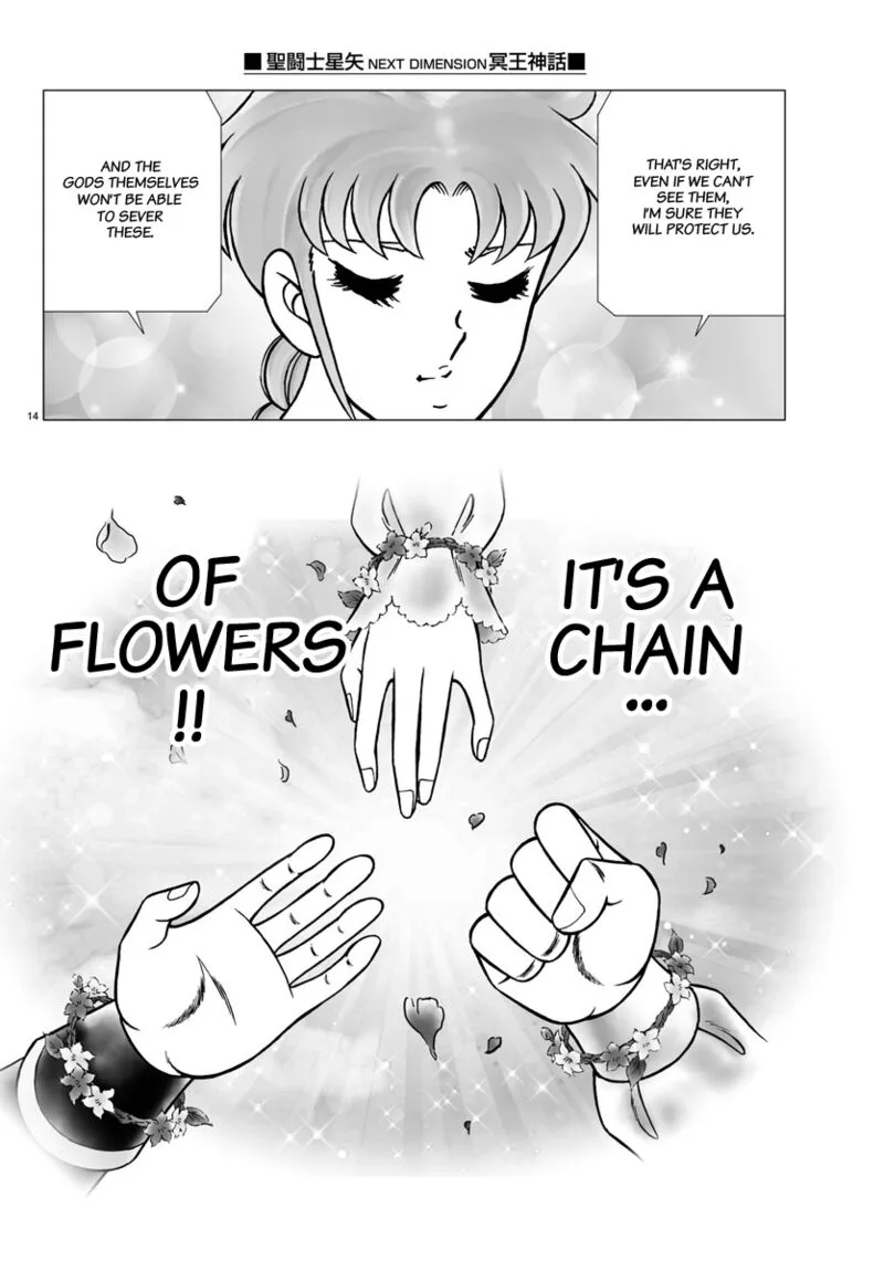 Saint Seiya - Next Dimension Chapter 102 page 14