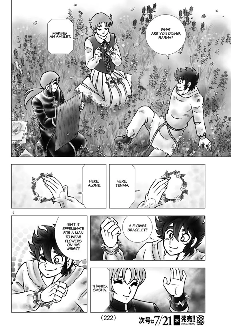 Saint Seiya - Next Dimension Chapter 102 page 12