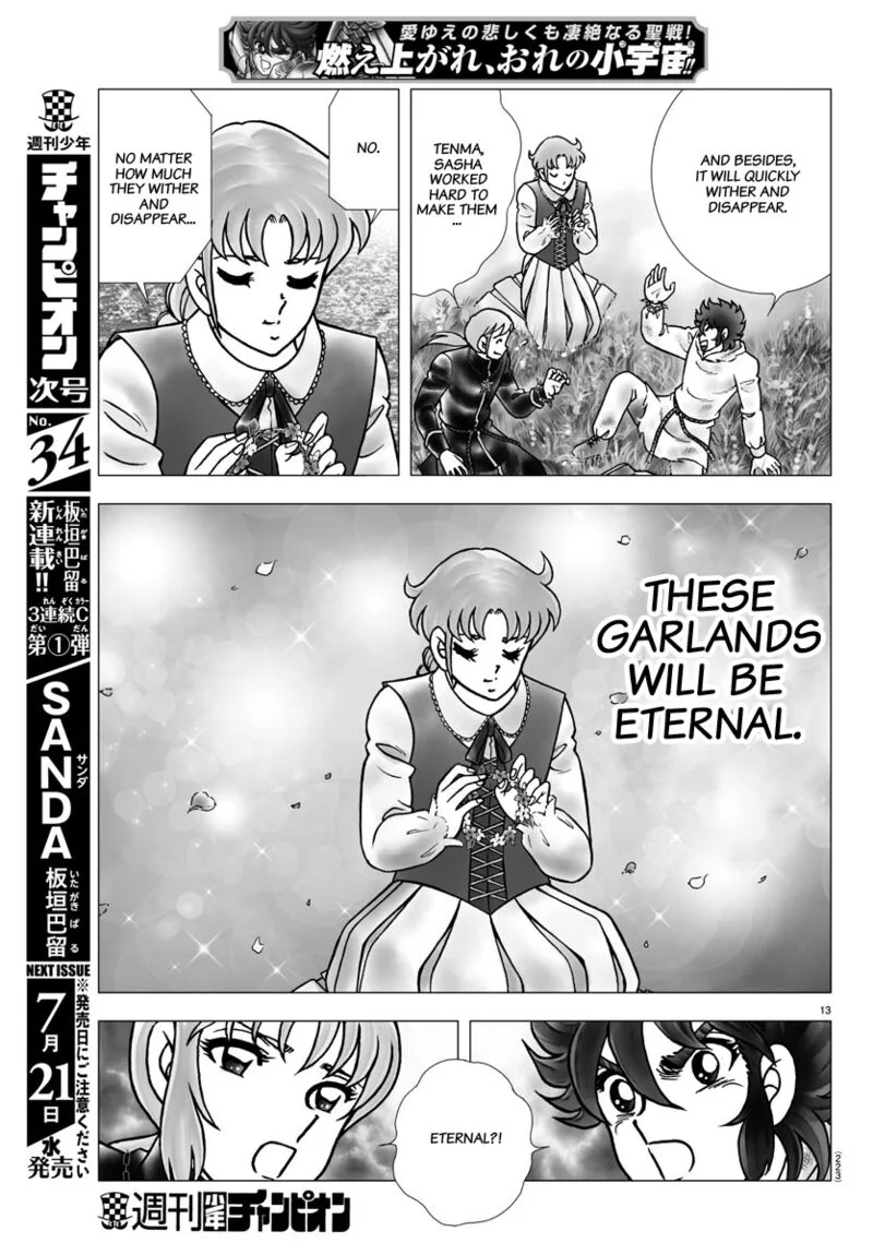 Saint Seiya - Next Dimension Chapter 102 page 13