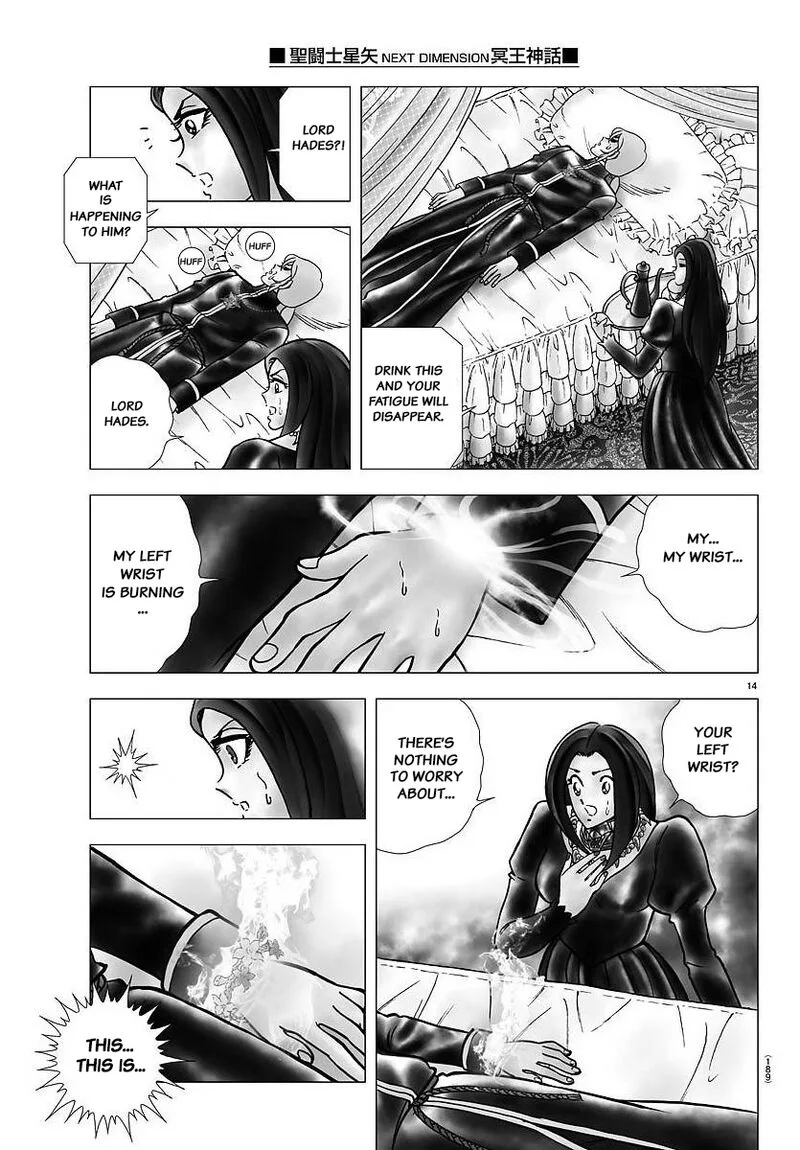 Saint Seiya - Next Dimension Chapter 105 page 14