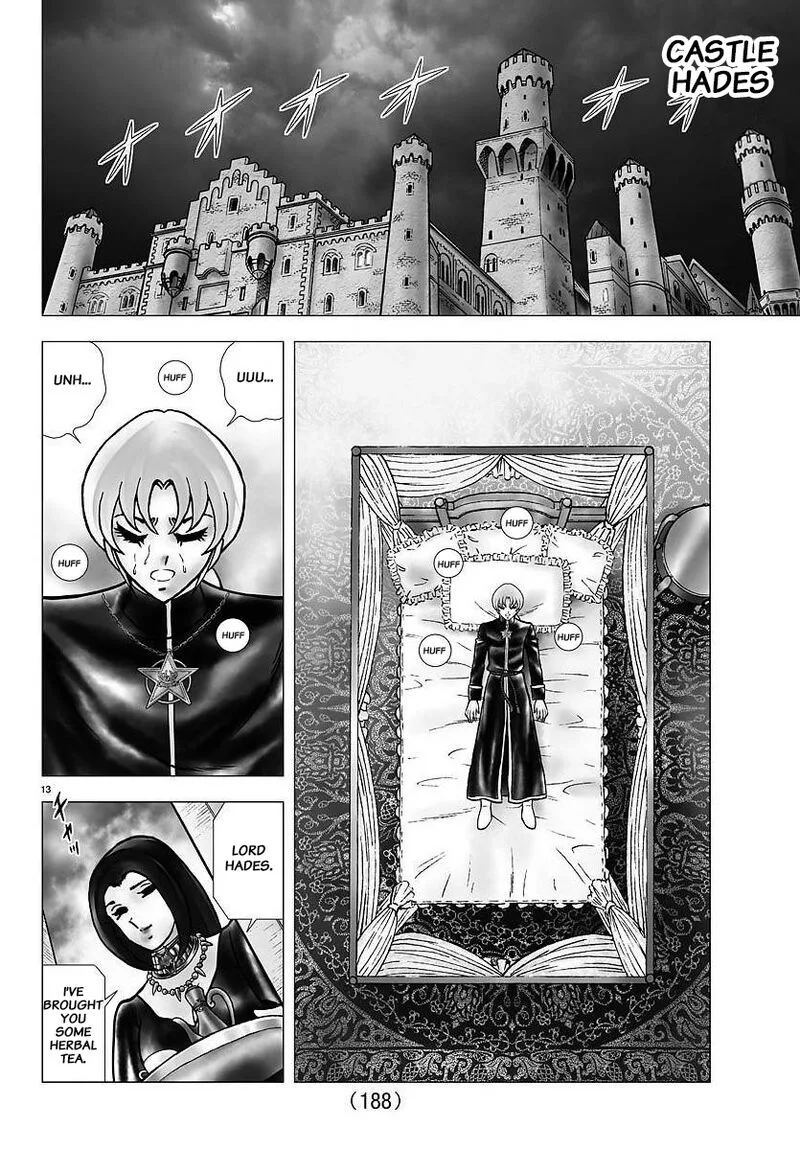 Saint Seiya - Next Dimension Chapter 105 page 13