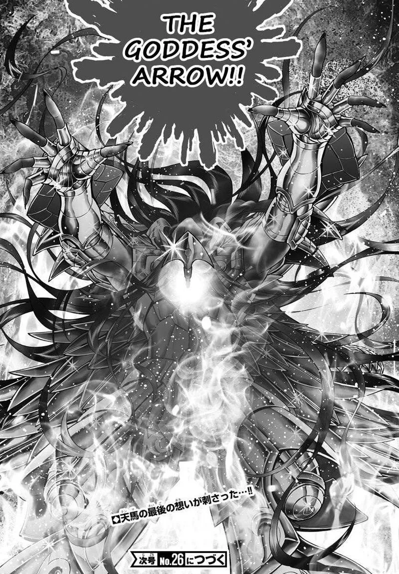 Saint Seiya - Next Dimension Chapter 113 page 19