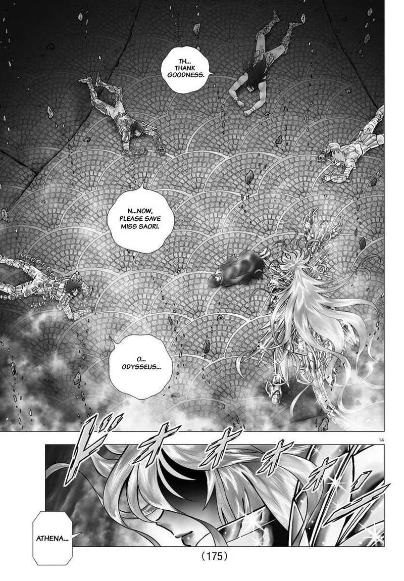 Saint Seiya - Next Dimension Chapter 114 page 14