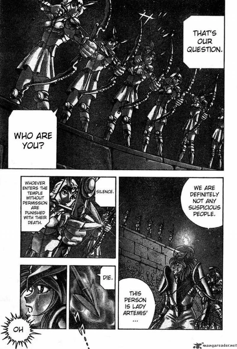 Saint Seiya - Next Dimension Chapter 15 page 14