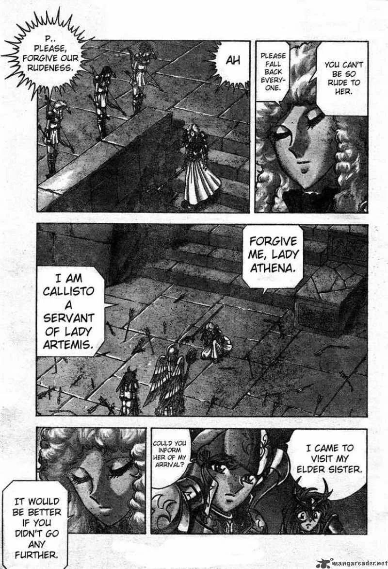 Saint Seiya - Next Dimension Chapter 15 page 16