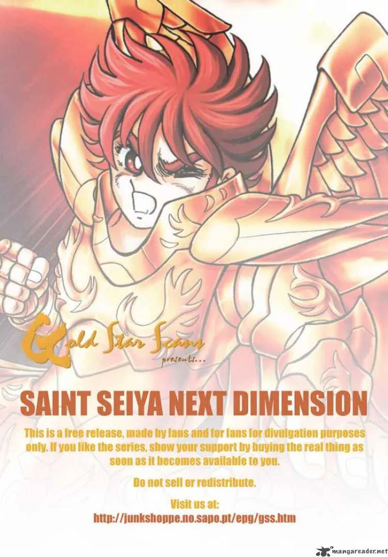 Saint Seiya - Next Dimension Chapter 19 page 21