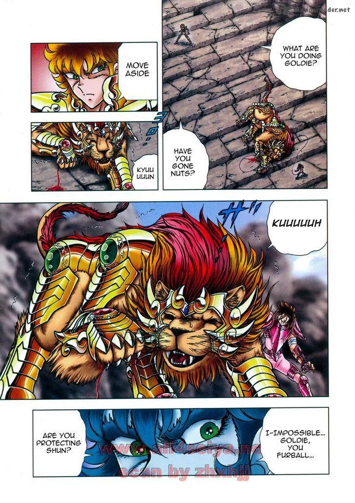 Saint Seiya - Next Dimension Chapter 44 page 11
