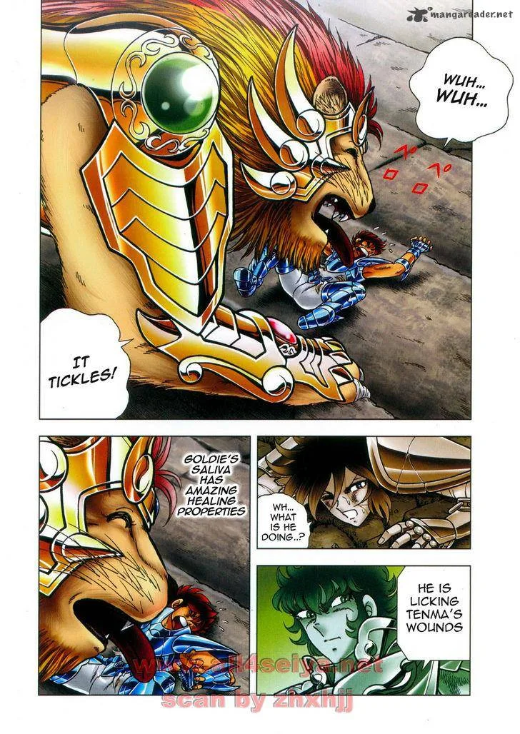 Saint Seiya - Next Dimension Chapter 45 page 8
