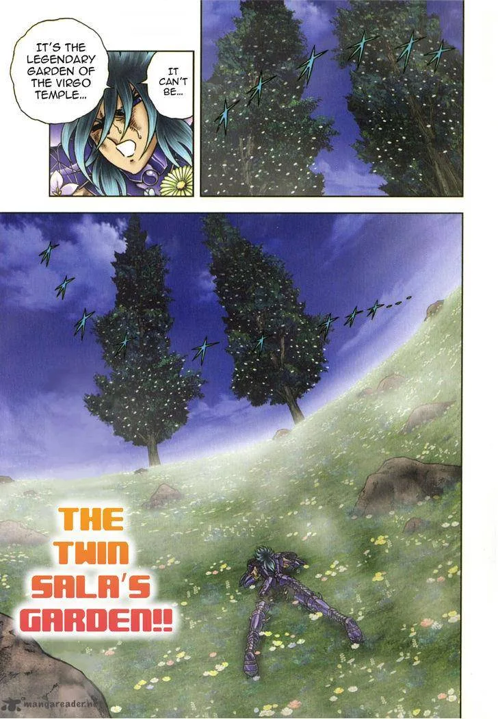 Saint Seiya - Next Dimension Chapter 50 page 8