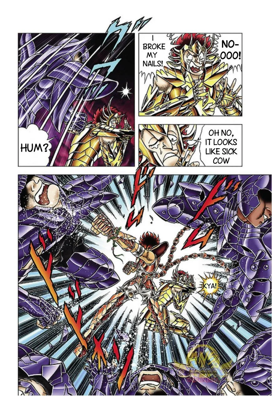 Saint Seiya - Next Dimension Chapter 63 page 12