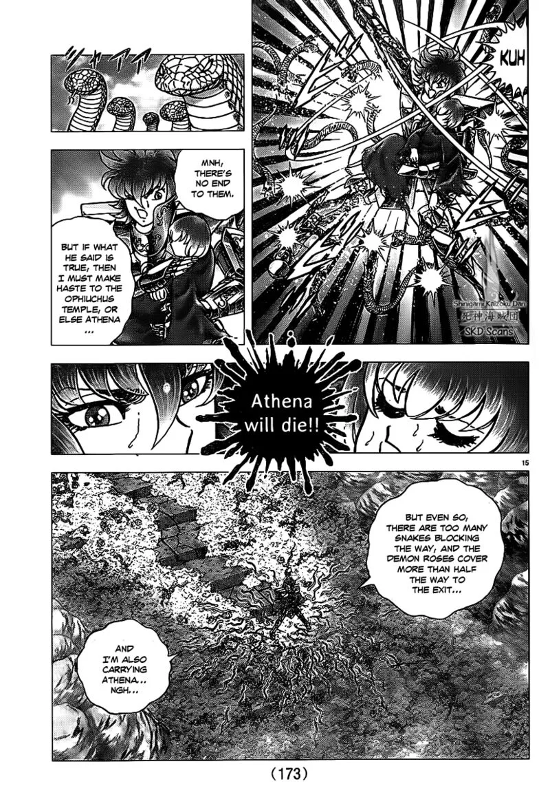 Saint Seiya - Next Dimension Chapter 70 page 15