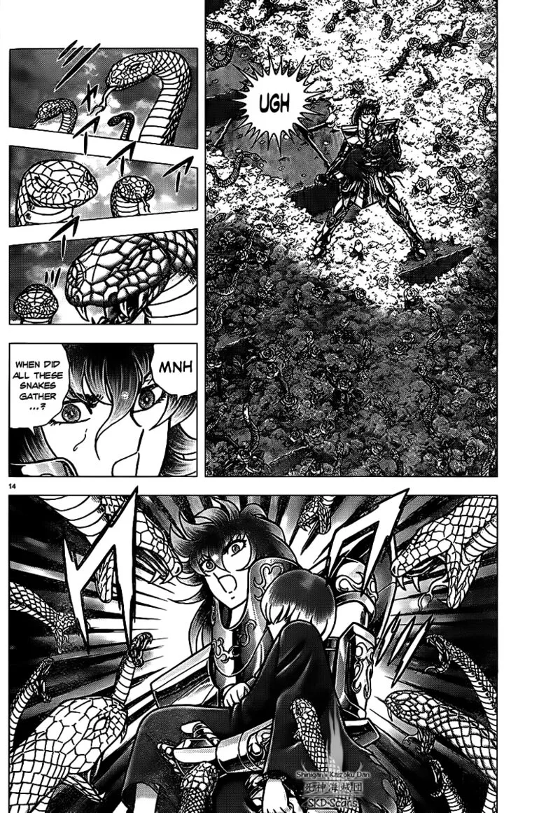 Saint Seiya - Next Dimension Chapter 70 page 14