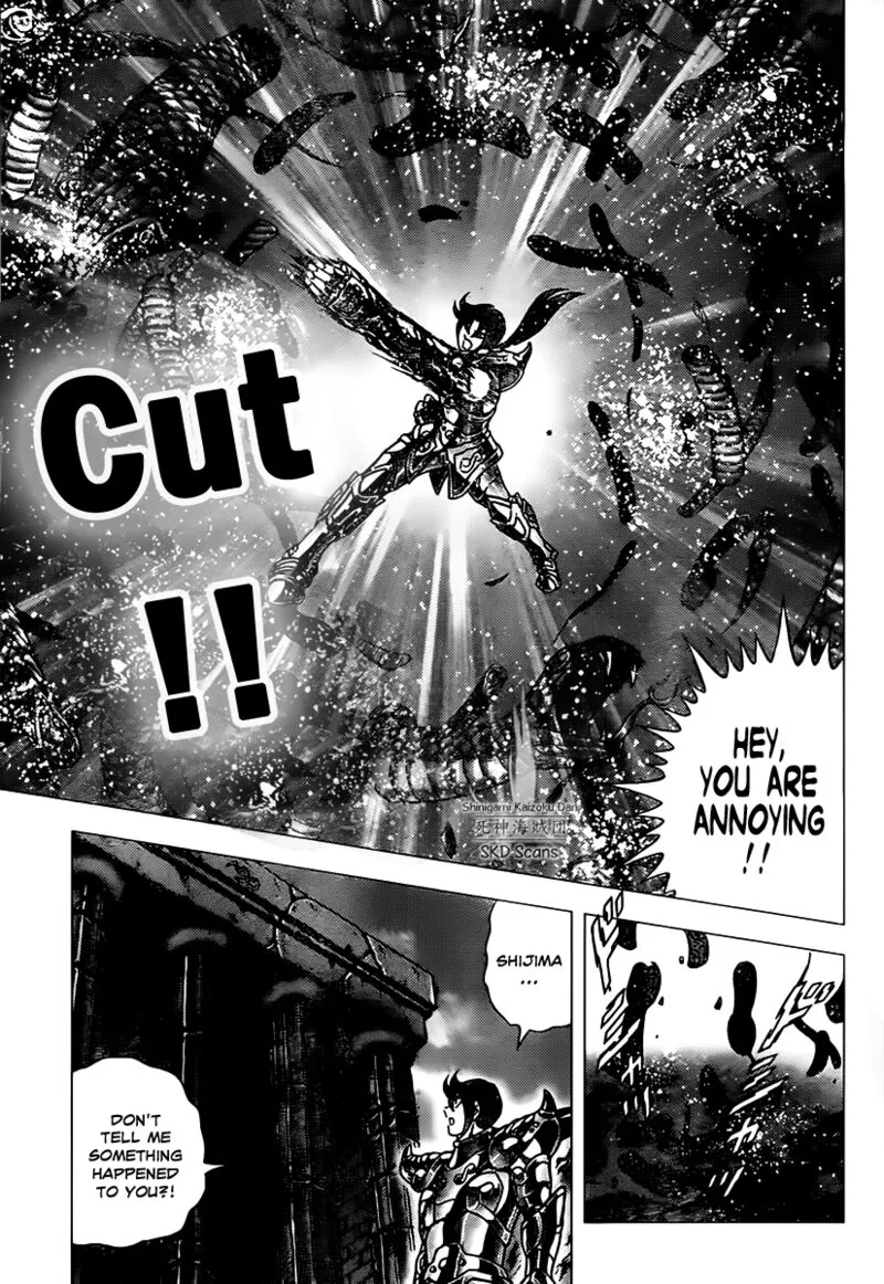 Saint Seiya - Next Dimension Chapter 72 page 14