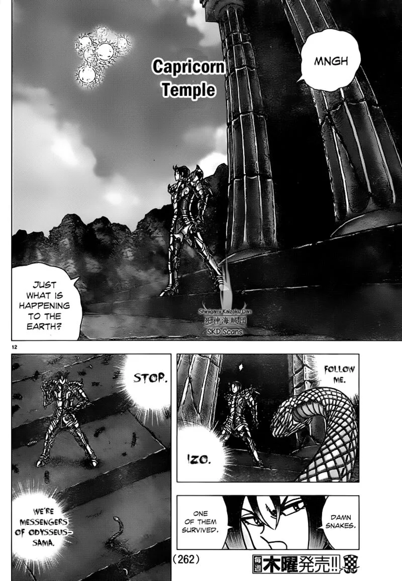Saint Seiya - Next Dimension Chapter 74 page 11