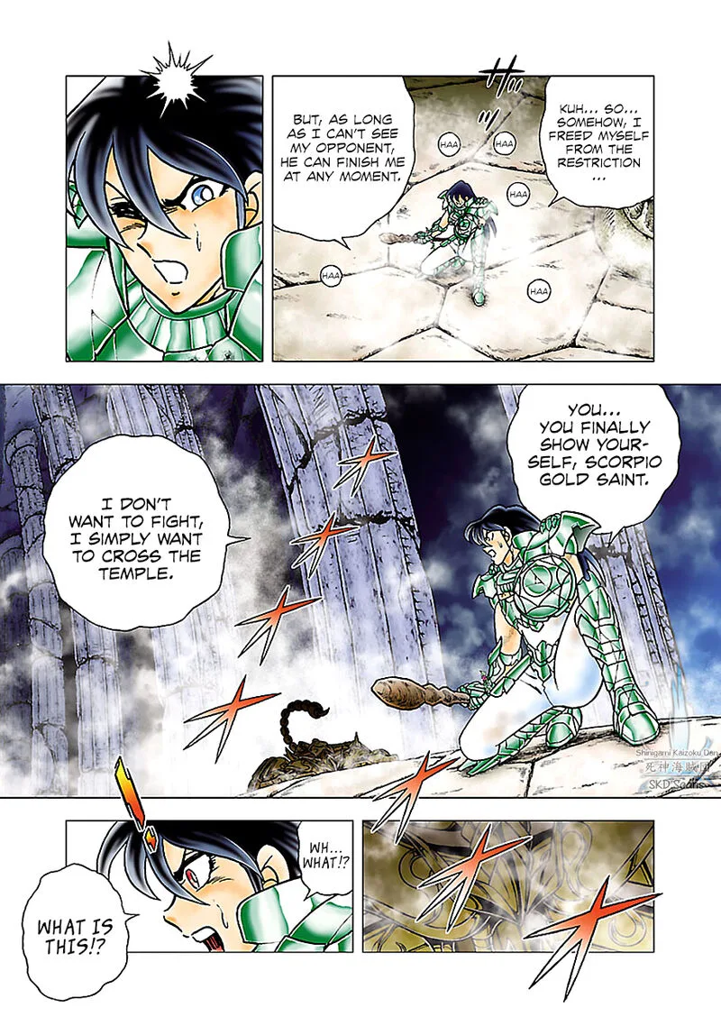 Saint Seiya - Next Dimension Chapter 76 page 9