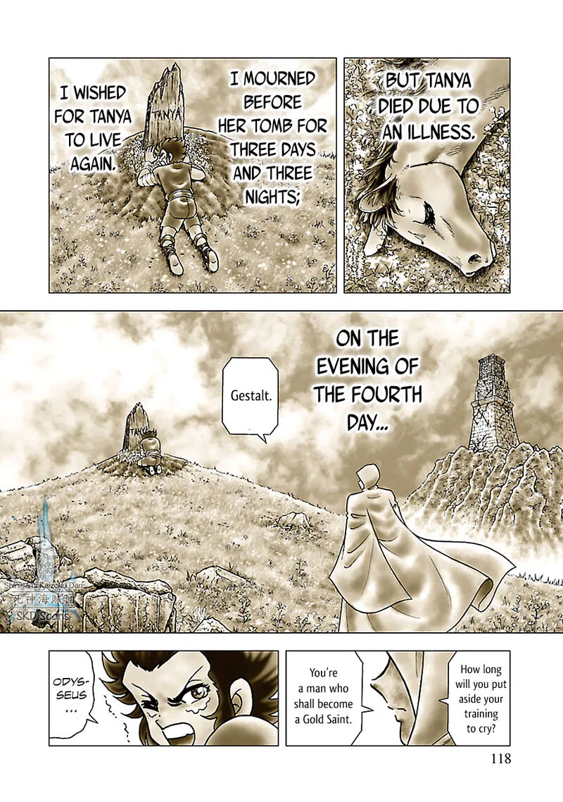 Saint Seiya - Next Dimension Chapter 80 page 9