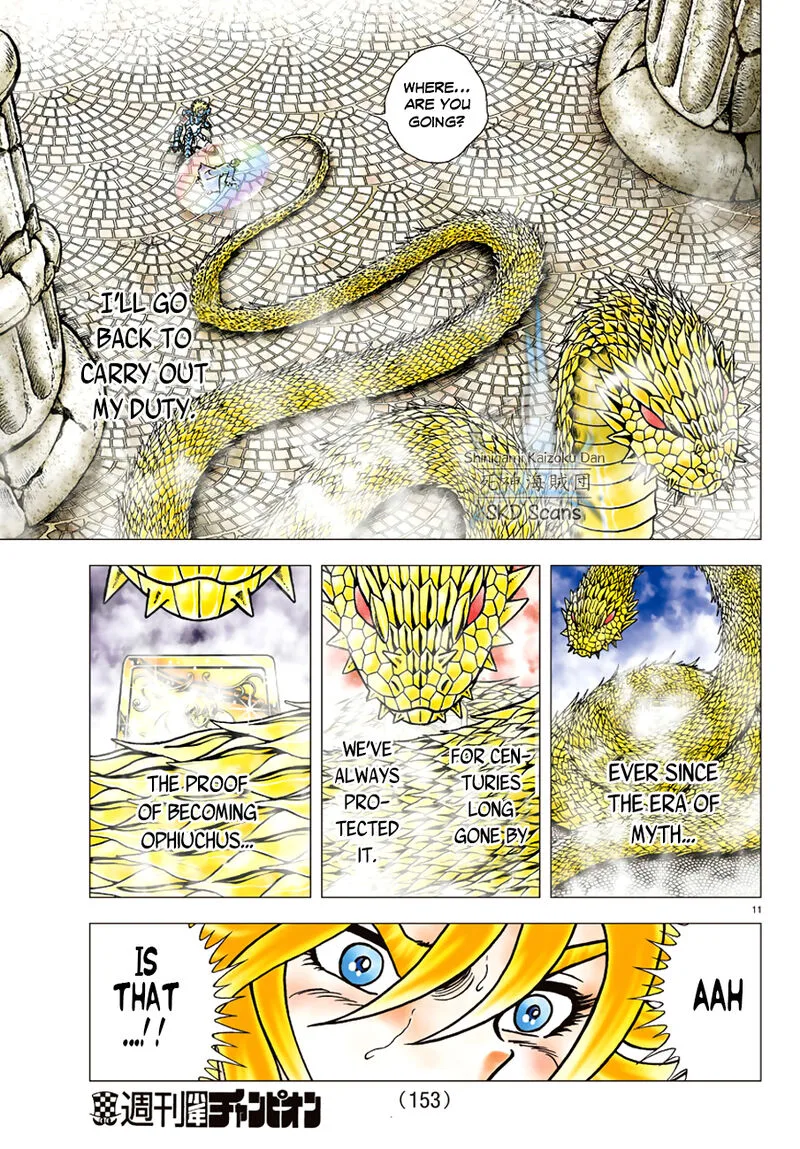 Saint Seiya - Next Dimension Chapter 83 page 11