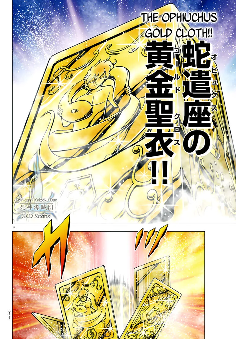 Saint Seiya - Next Dimension Chapter 83 page 14
