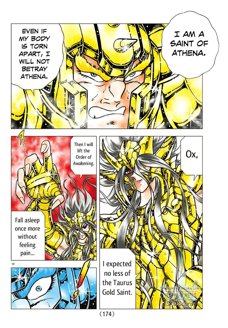 Saint Seiya - Next Dimension Chapter 86 page 13