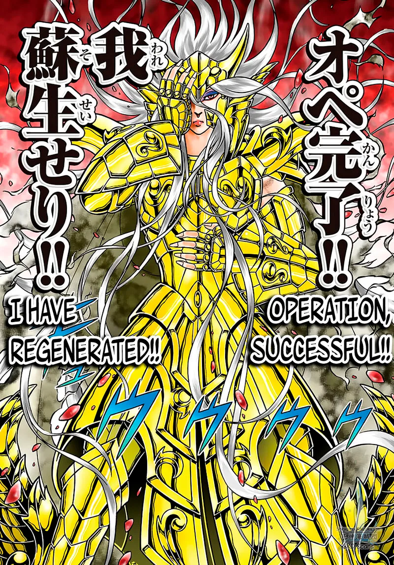 Saint Seiya - Next Dimension Chapter 89 page 13
