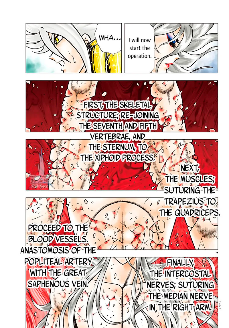 Saint Seiya - Next Dimension Chapter 89 page 12