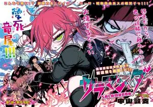 Salamander (NAKAYAMA Atsushi) cover