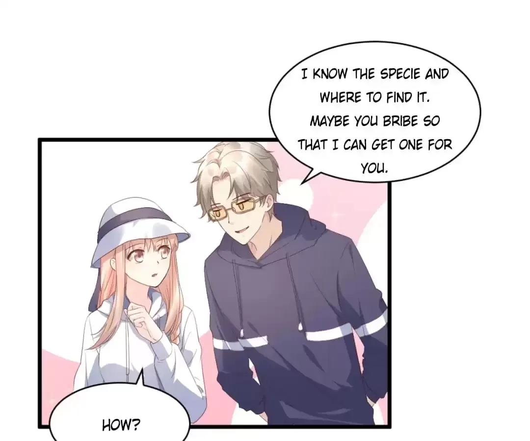 Secret Sweetheart Chapter 15 page 5