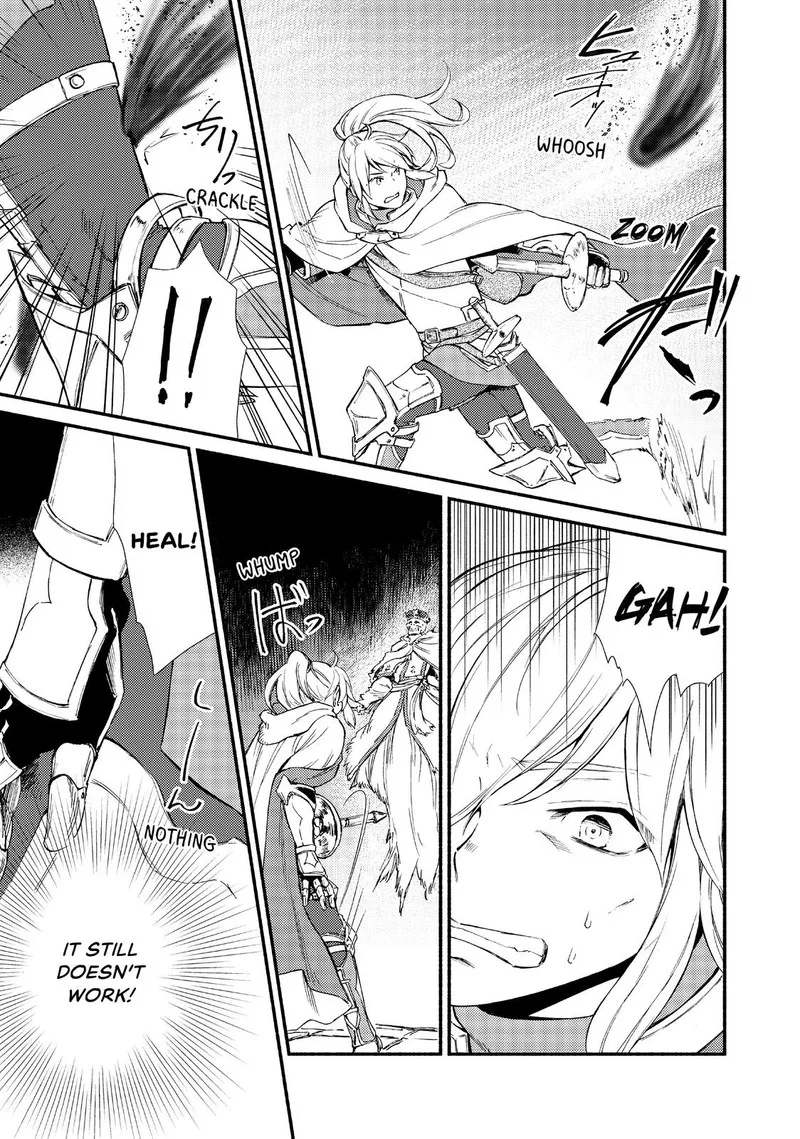 Seija Musou - Sarariiman, Isekai de Ikinokoru Tame ni Ayumu Michi Chapter 19 page 27