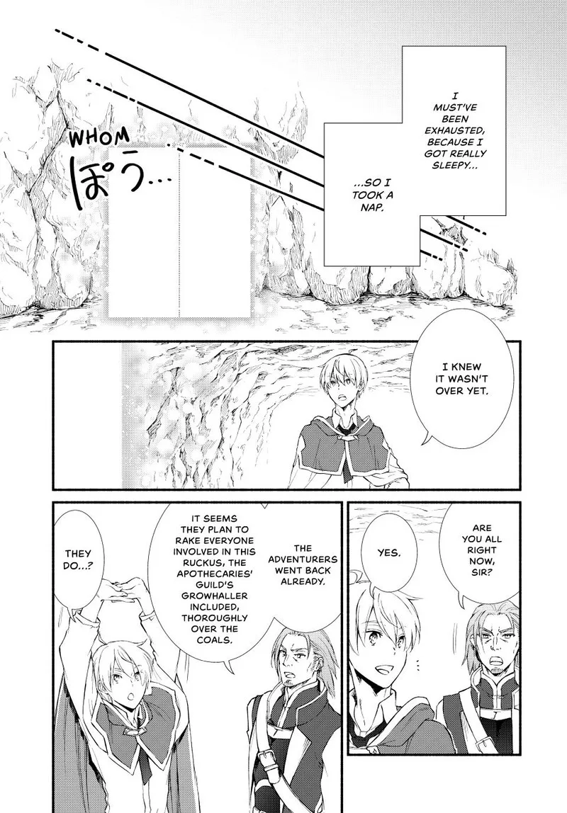 Seija Musou - Sarariiman, Isekai de Ikinokoru Tame ni Ayumu Michi Chapter 61 page 13