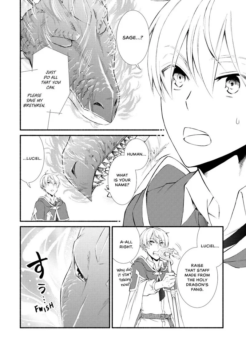 Seija Musou - Sarariiman, Isekai de Ikinokoru Tame ni Ayumu Michi Chapter 61 page 27