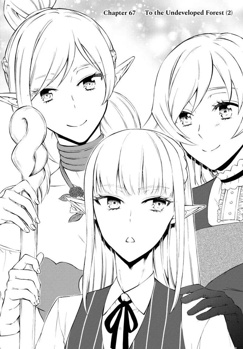 Seija Musou - Sarariiman, Isekai de Ikinokoru Tame ni Ayumu Michi Chapter 67 page 1