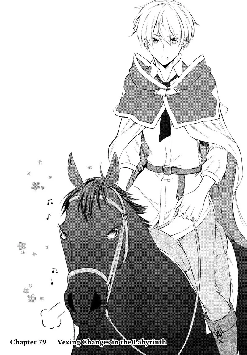 Seija Musou - Sarariiman, Isekai de Ikinokoru Tame ni Ayumu Michi Chapter 79 page 4