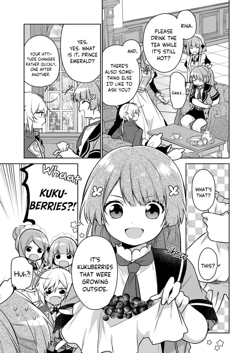Seijo ja Nakatta no de, Oukyuu de Nonbiri Gohan wo Tsukuru Koto ni Shimashita Chapter 6 page 17