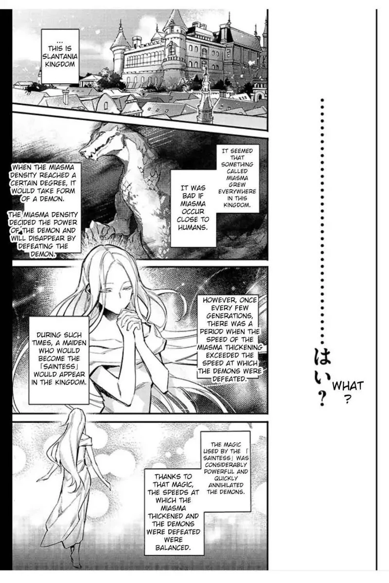 Seijo No Maryoku Wa Bannou Desu Chapter 1 page 8